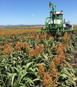 [AGRC3040/7034] Crop Physiology (Gatton & External). Semester 2, 2024 AGRC3040