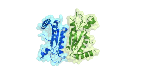 [BIOC2000] Biochemistry & Molecular Biology (St Lucia). Semester 1, 2023 BIOC2000