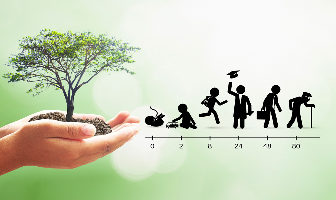 [BIOL1900] Biophysical Development, Measurement and Assessment (St Lucia). Semester 1, 2025 BIOL1900