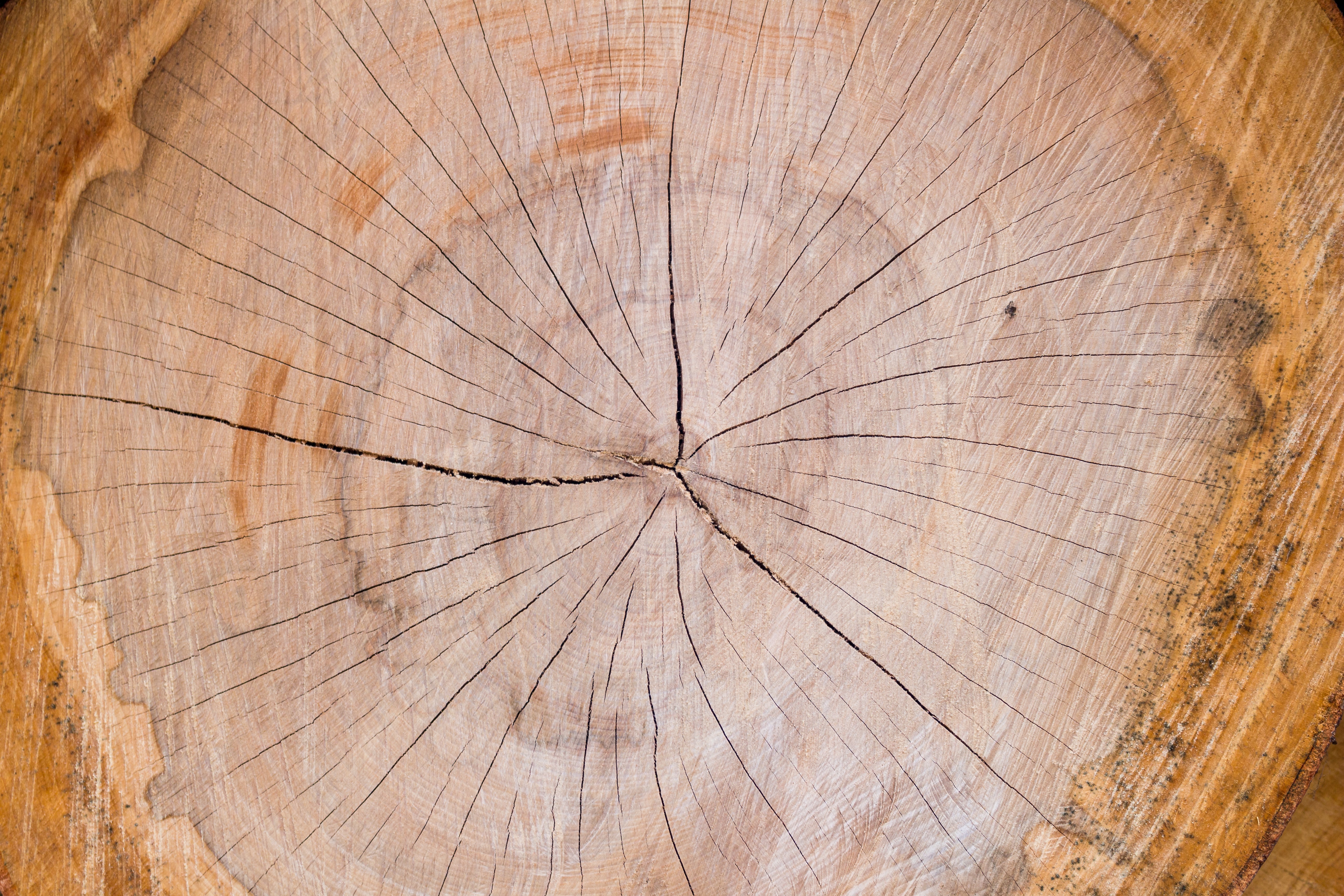 [CIVL4334] Design of Timber Structures (St Lucia). Semester 2, 2026 CIVL4334