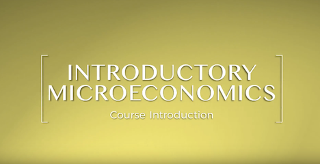 [ECON1010] Introductory Microeconomics (St Lucia). Semester 1, 2024 ECON1010