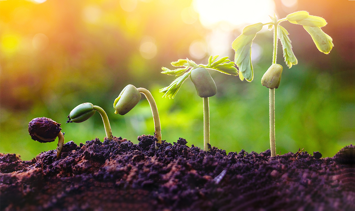 [NURS7122] Health Across the Lifespan (St Lucia). Semester 1, 2024 NURS7122