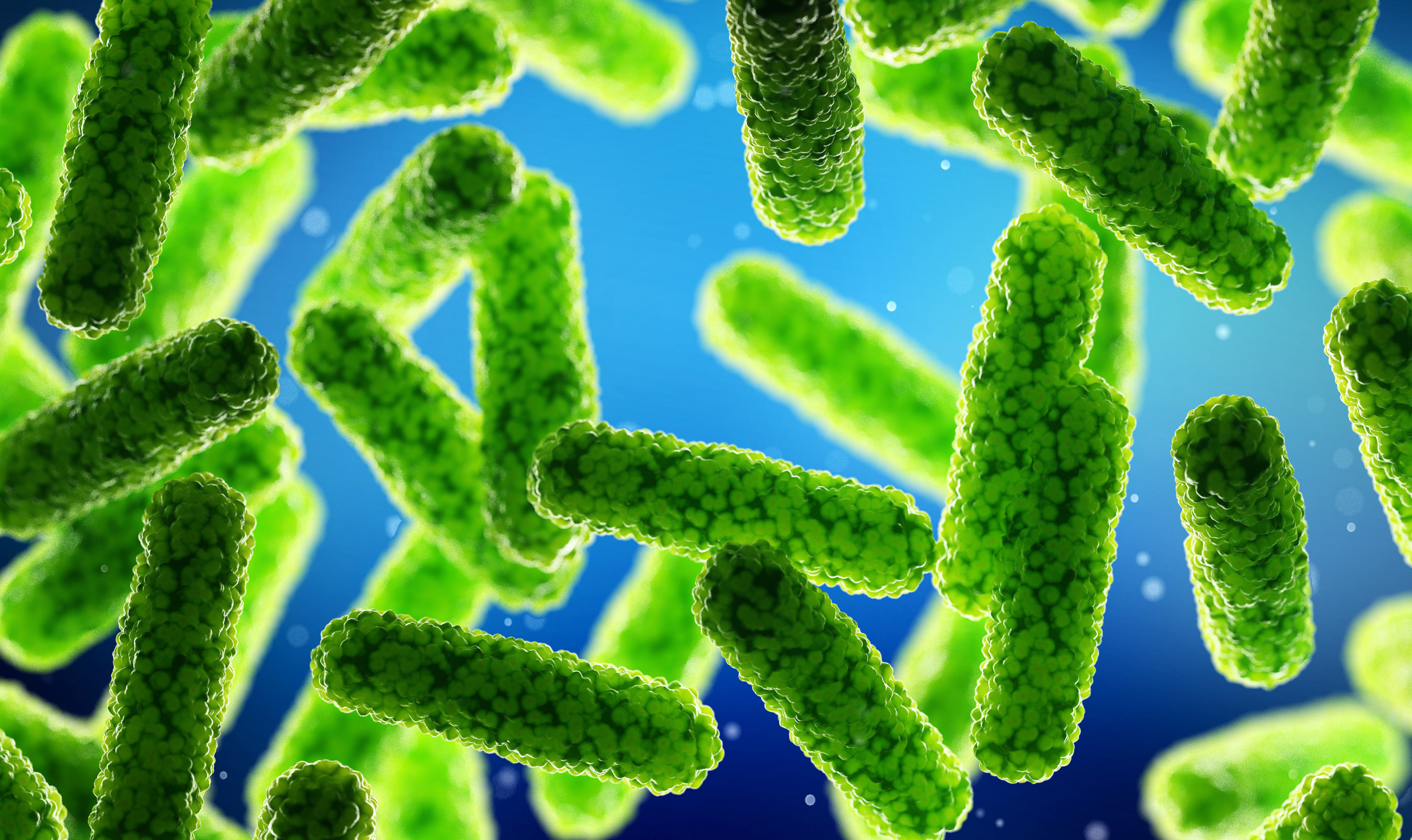 [PHRM3201] Pharmaceutical Sciences 3A (Dutton Park). Semester 1, 2026 PHRM3201