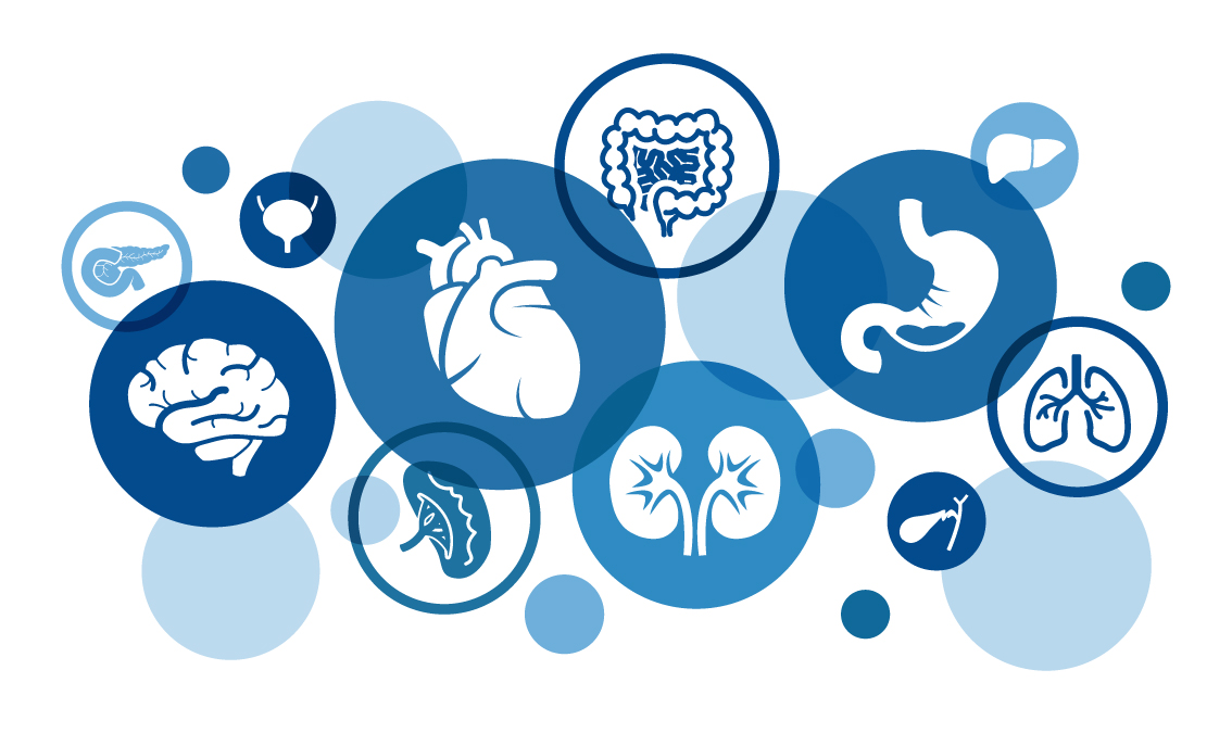 [PHYL2068/7068] Physiology of Systems & Clinical Application to Speech Pathology Practice (St Lucia). Semester 1, 2025 PHYL2068