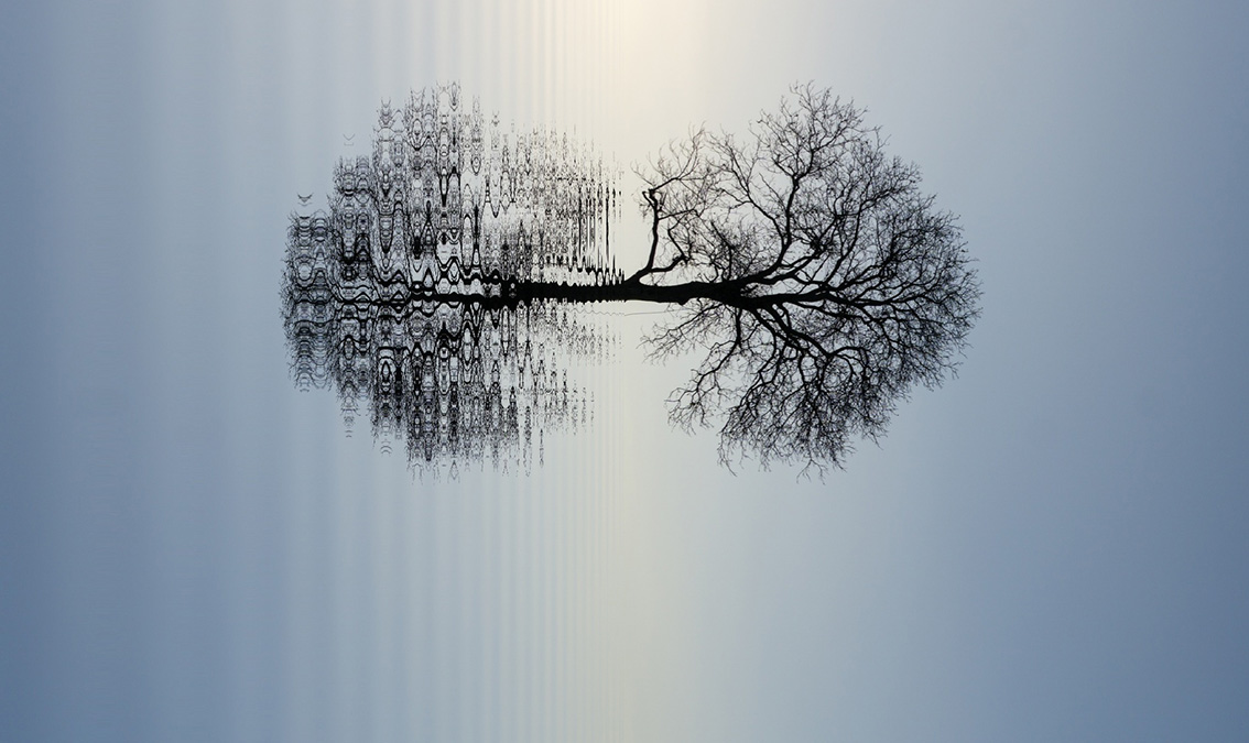 [PSYC7901] Psychology: Brain and Cognition (External). Semester 2, 2024 PSYC7901