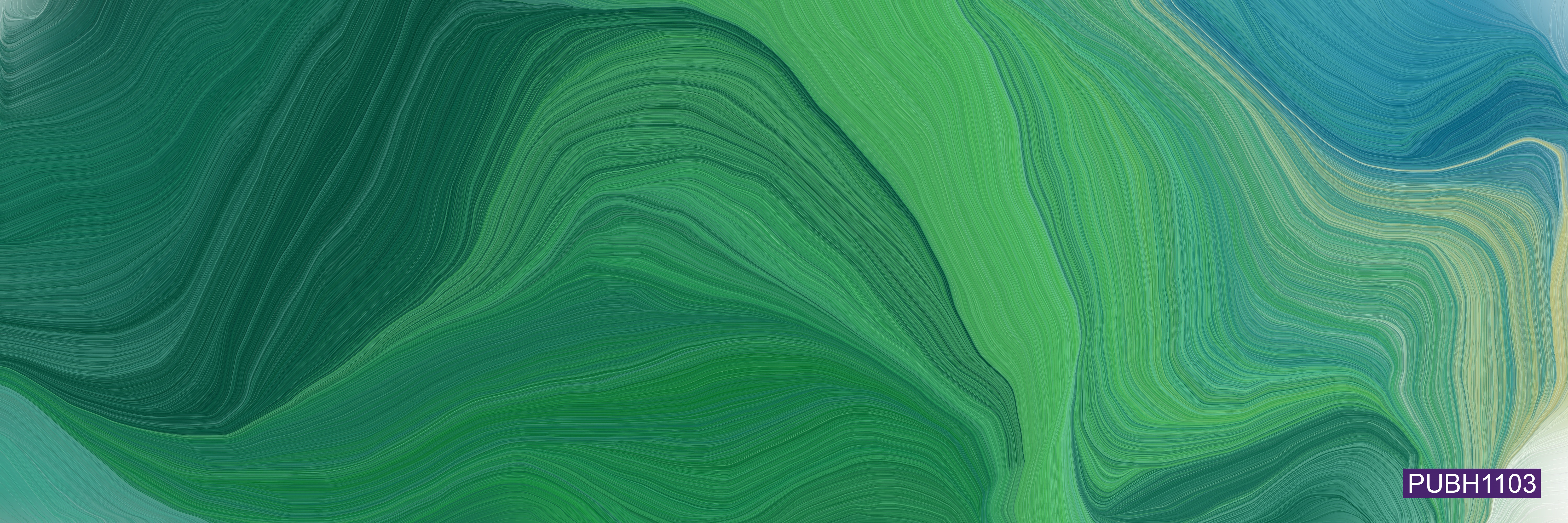 [PUBH1103] Health Systems and Policy (St Lucia). Semester 2, 2026 PUBH1103