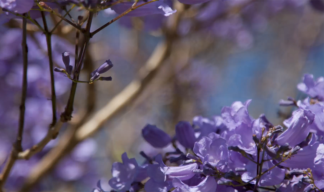 [PUBH7033] Foundations of Public Health (Herston & external). Semester 2, 2024 PUBH7033