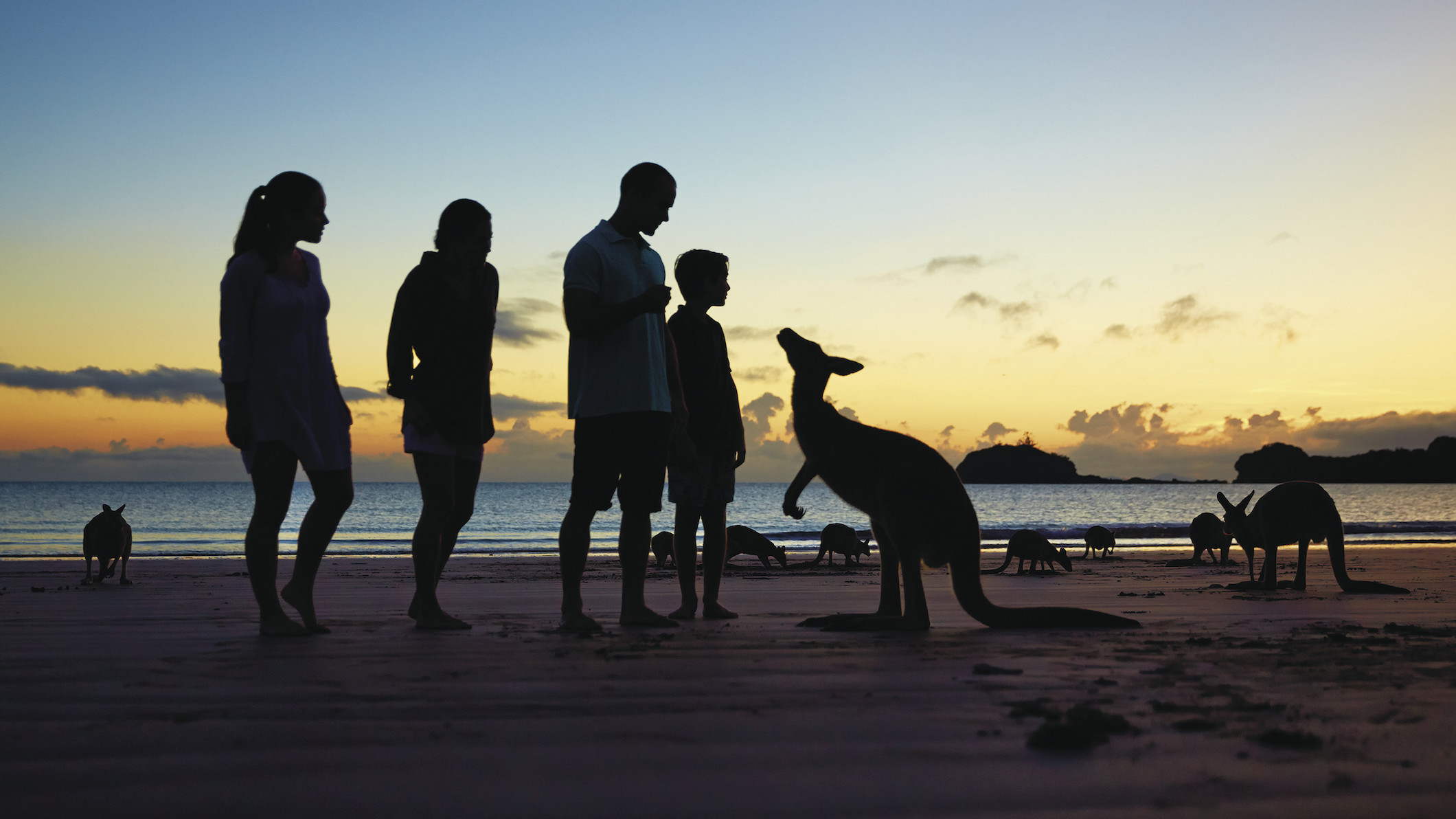 Tourism and Travel Management TOURISMx